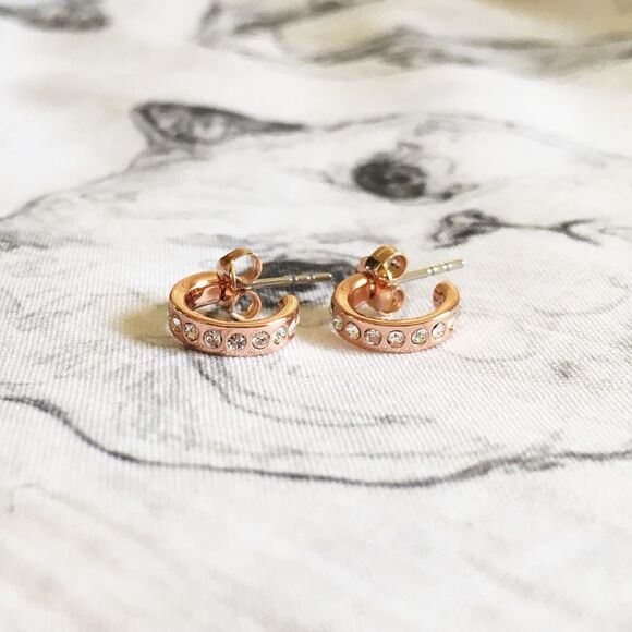 ❤︎ Ted Baker ❤︎ Seeni Mini hoop huge swarovski crystal earrings - Picture 1 of 7